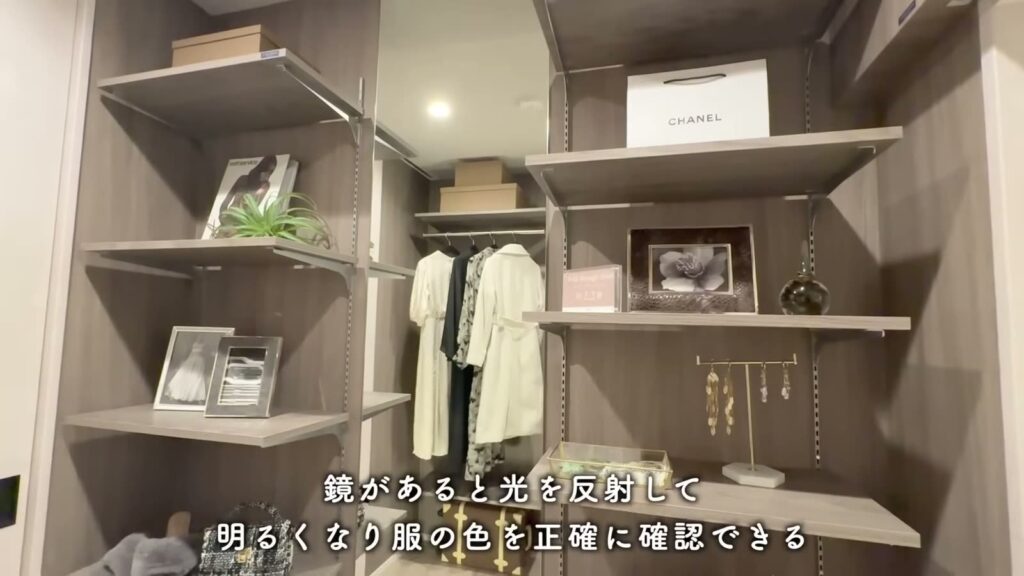 ジェイグラン国立 2LDKのミラーのあるクローゼット
