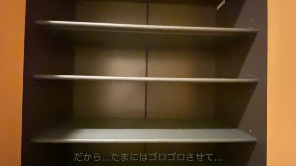 1LDKのシューズボックス（近く）