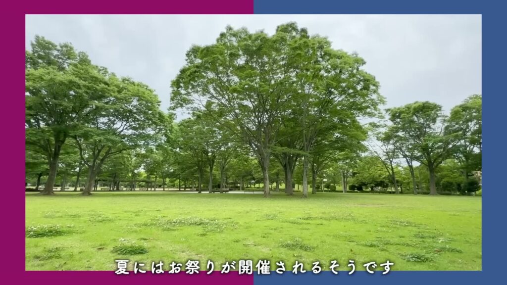 千葉ニュータウン内野 4LDKの芝生の広場