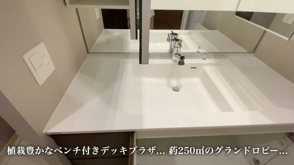 シティタワー広島 2LDKの洗面ボウル