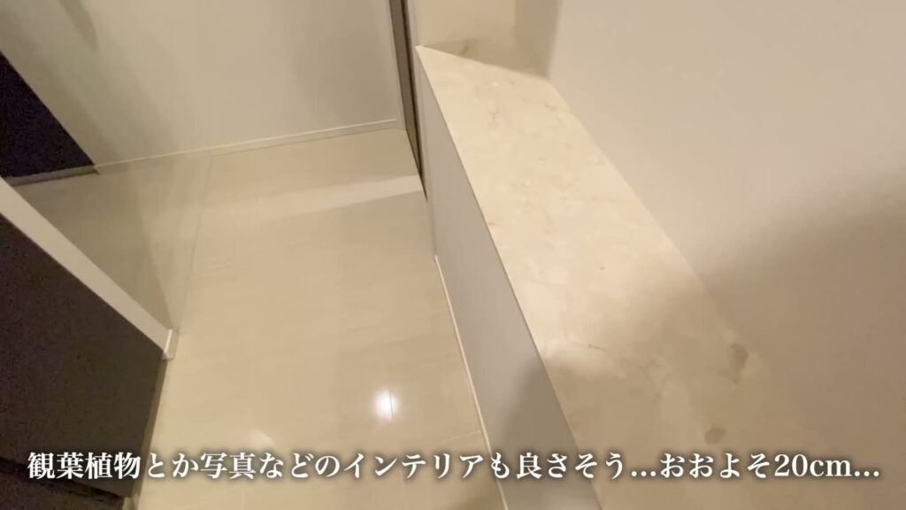 シティタワー広島 2LDKの飾り棚